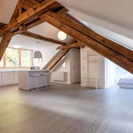 White - Large Spacious Penthouse Loft - Wifi, Free Parking, Ac Baden-Baden