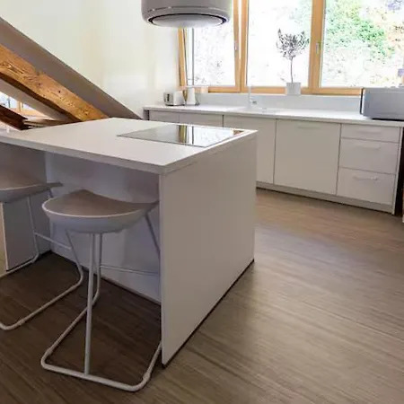 White - Large Spacious Penthouse Loft - Wifi, Free Parking, Ac Apartment Baden-Baden