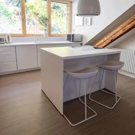 White - Large Spacious Penthouse Loft - Wifi, Free Parking, Ac * Baden-Baden